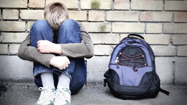harcelement scolaire